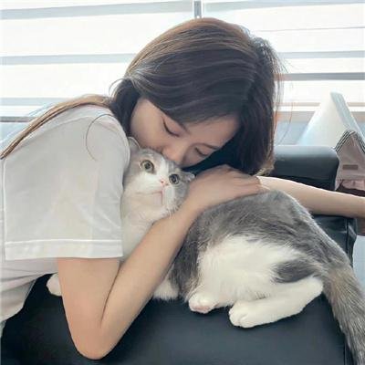 梅格雷探案